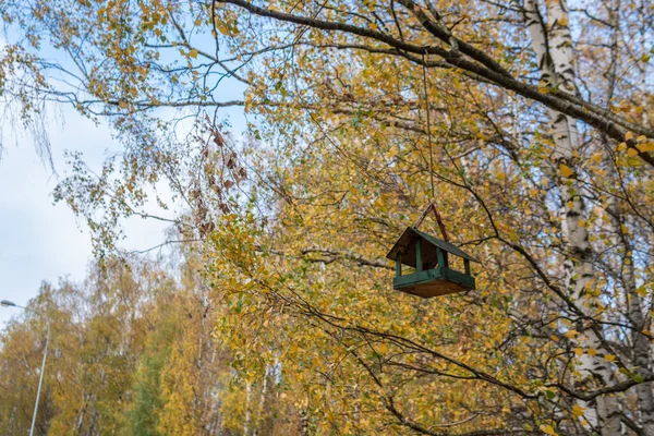 鳥の餌、木の上に美しい雛を飛ぶための家は、森、青い雲の背景にぶら下がっています — ストック写真
