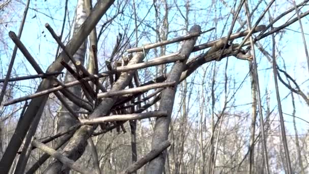 Casa sull'albero in una bellissima foresta verde — Video Stock