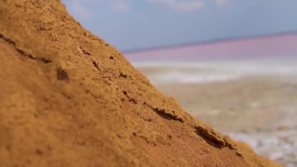 Άμμος χύνεται από το βουνό, κοντά στην αλμυρή ροζ λίμνη στην Κριμαία, το καλοκαίρι σε φωτεινό ηλιόλουστο ανοιχτό καφέ χρώμα. Μπλε ουρανός — Αρχείο Βίντεο