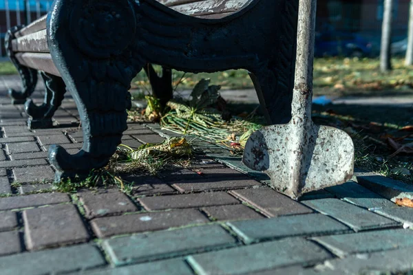 Pá quebrada em um banco no outono, no parque na telha de pavimentação — Fotografia de Stock