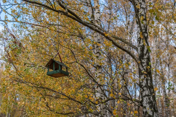 鳥のフィーダー、木の上に美しい雛を飛ぶための家は、森、白樺の幹の背景にぶら下がっている — ストック写真