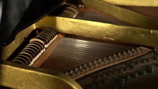 Piano, piano steken in het muziekinstrument bewegen snaren — Stockvideo