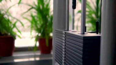 Trenajor yükleri kaldırır, doğadaki yeşil ağaçların arka planına karşı, bir fitness kulübünde