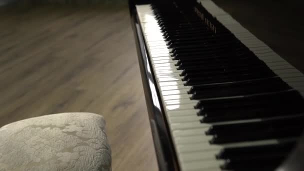 Man two hands plays gentle classical music on a grand piano. Professional pianist — Stock Video