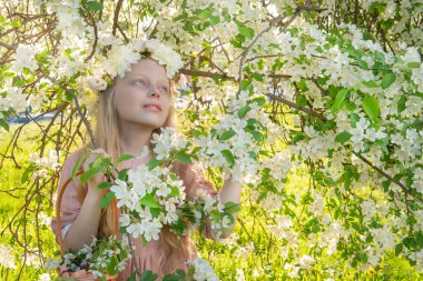 Bir kız güzel beyaz bir elma ağacını kokluyor, baharın ortasında elma ağacının çiçek açması güzel bir mutluluk o, bahar çiçeği portresi elbisesi, model çekici. Seksi çiçek açan sağlık.
