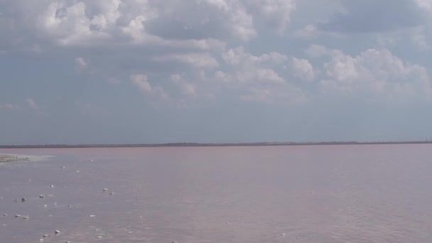 Sós tó rózsaszín a Krím-félszigeten természetes kövekkel, nyáron filmezett, meleg napos időjárás rózsaszín környezetben, vízfestői ég ásványi háttér, argentina. Erszényes vadvíz, nátriumesztináció — Stock videók