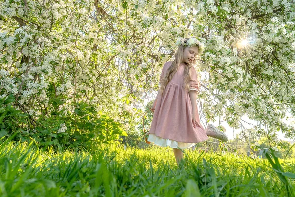 少女は美しい白いリンゴの木、春のリンゴの木の開花の最中に彼は、公園の花の若い美しいドレス、ブロンドの白人の美しいリンゴの子供のスニフ。魅力的な若者光 — ストック写真