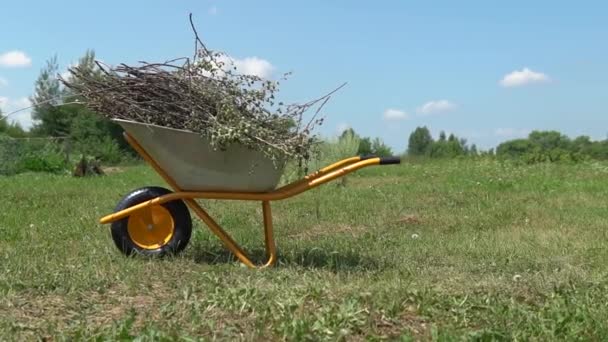 Тачка для садового хозяйства, сельский летний парк органических печей. Инструменты переносят, сезонные посадки тачки садового колеса кургана наслаждаются погружением. — стоковое видео