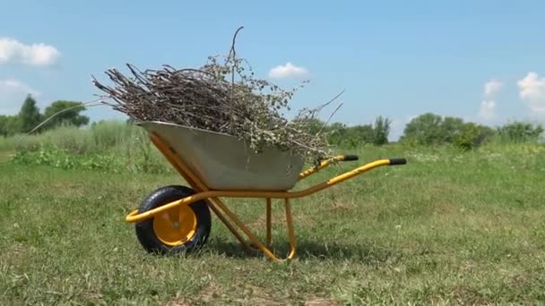 Zahradní kolečko vozík vozík farma, zelená vesnice tráva činnost podzim, sklizeň zahrady. Práce s nářadím venku, sezónní výsadba kolečko zahradní kolečko kolečko kolečko těšit nečistoty — Stock video