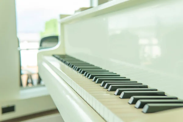 Güverte dairesi yatı, turizm, su sporları, yat insanları. Terminal kabin, turistler deniz manzaralı yolcu gemisi cankurtaran botu alt güvertedeki drone piyano.