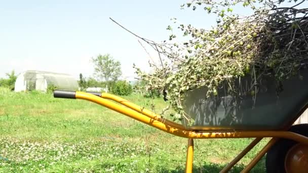 ガーデンホイールバロー青空黄色の園芸カート農業、田舎の春農村ホイールガーデン公園。作業庭を運ぶ、季節の植え付けホイールバローガーデンホイールバローは汚れをお楽しみください — ストック動画