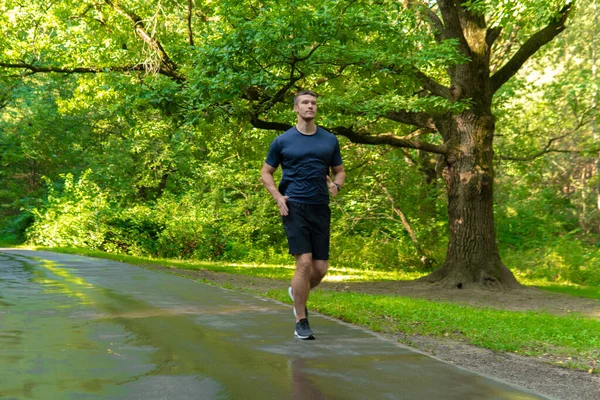 一名男子运动员在公园里跑来跑去，绕着森林跑去，橡树绿草青绿，年轻耐力强的运动员跑着森林，在外面走着树。闲暇的脚伸展着 图库图片