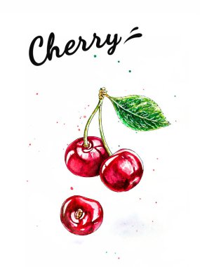 Bir dal ve yaprağın üzerindeki kirazlar. Suluboya çizimi.