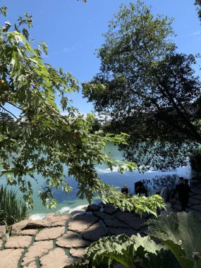 San Francisco 'daki şelaleden manzara