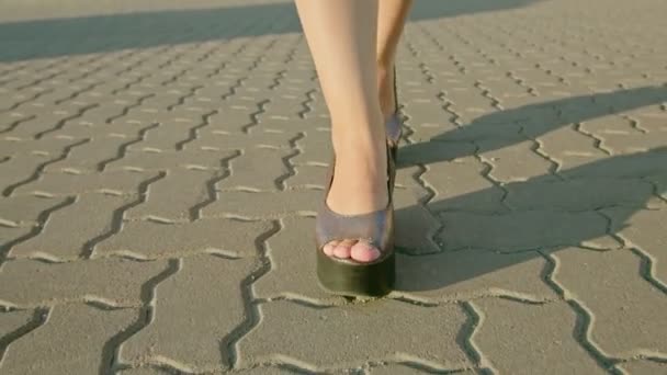 Primer plano de una mujer piernas en zapatillas de deporte caminando a lo largo de un campo o prado en el campo. — Vídeo de stock