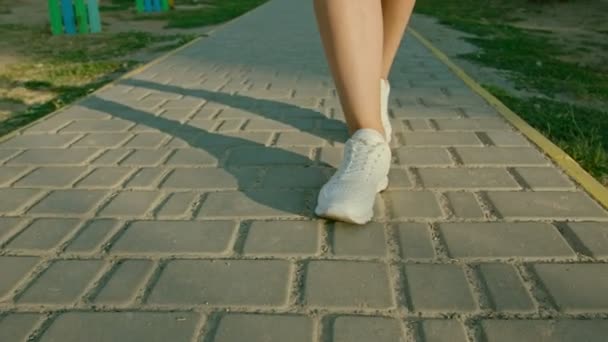 Крупный план женских ног в кроссовках, идущих по полю или лугу в сельской местности. — стоковое видео