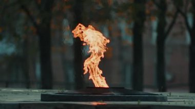 Ebedi Alev - İkinci Dünya Savaşı 'ndaki zaferin sembolü. Sonsuza dek yanan alevler ve ağır hareket eden askerlerin toplu mezarında yıldız.