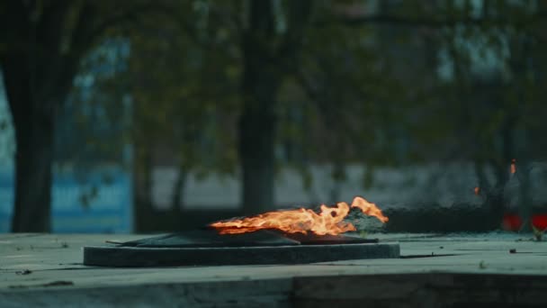 Eternal Flame - símbolo de victoria en la Segunda Guerra Mundial. Llama eterna ardiente y estrella en la tumba masiva de los soldados movimientos lentos — Vídeos de Stock