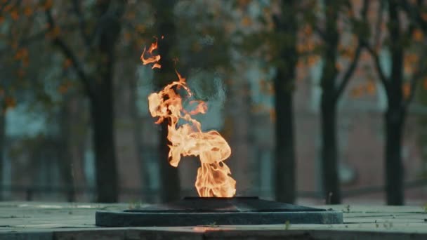 Вечный огонь - символ победы во Второй мировой войне. Сжигая вечное пламя и звезду у массовых могил солдат медленными движениями — стоковое видео