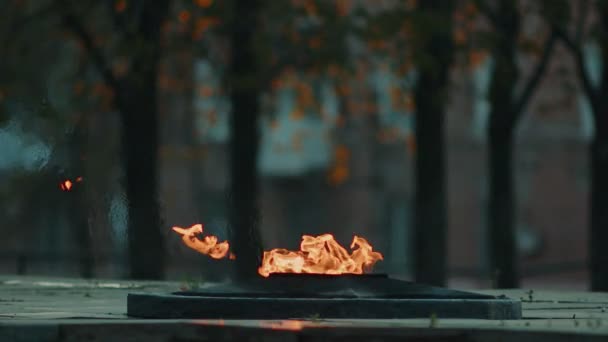 Eternal Flame - symbol of victory in World War II. Burning eternal flame and star at mass tomb of soldiers slow motions — Stock Video