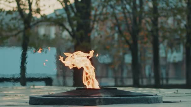 Eternal Flame - symbol of victory in World War II. Burning eternal flame and star at mass tomb of soldiers slow motions — Stock Video