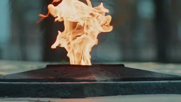 Eternal Flame - symbol för seger i andra världskriget. Bränner evig låga och stjärna vid massgraven av soldater slow motions — Stockvideo