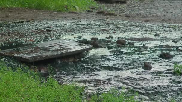 Deflusso di acqua da un pozzo. Sfondamento del sistema di approvvigionamento idrico. Rete fognaria. prores 422, bmpcc4k — Video Stock