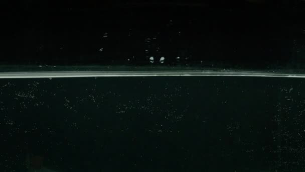 아보카도는 천천히 움직 이면서 물 속으로 뛰어들어 422, bmpcc4k 를 만들어 낸다 — 비디오