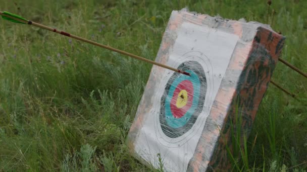 A young guy shoots a bow at a target, in nature, and hits the target, the arrow pierces the target for flight, pulls the bowstring tightly for a shot. Prores 422 — Stock Video