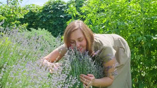 Kız bahçede lavanta çiçeklerine sarılıyor, dokunuyor ve okşuyor, yaz günü.. — Stok video