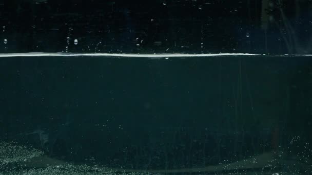 Aguacate se sumerge en el agua, cámara lenta, prores 422, bmpcc4k — Vídeos de Stock