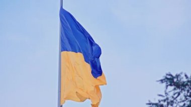 Ukrayna bayrağı, büyük bir bayrak direğinde mavi gökyüzünün arka planında dalgalanan ipek bir bayrak..