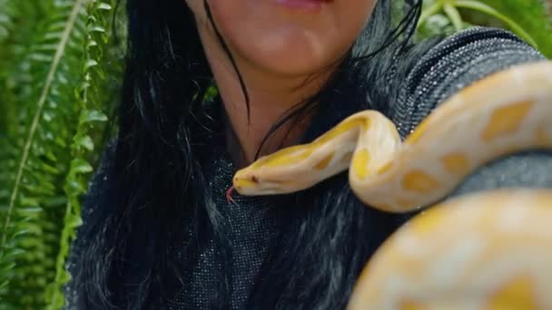 Kadın ve sarı yılan bahçede el ve boynu boyunca sürünüyor, yakın plan. — Stok video