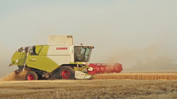 Kriwoj Rog, Ukraine - 18.07.2021 Erntemaschine erntet Weizen. Ernte, Landwirtschaft, Sonnenuntergang auf dem Feld. — Stockvideo