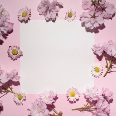 Renkli arka planda kare fotokopi alanı olan parlak pembe ve beyaz çiçekli çiçek retro konsepti. Minimalist düz konum, modern estetik düzenleme.
