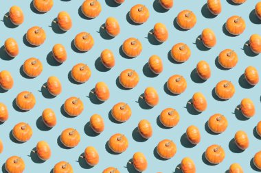 Parlak pastel mavi arka planda taze balkabağı ile yaratıcı, kusursuz desenli bir fikir. En düşük Cadılar Bayramı ve sonbahar sezonu konsepti, estetik geometrik düzenleme.