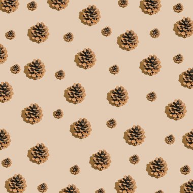 Pastel bej arka planda kozalaklı yaratıcı doğal fikir. Minimum model düzenleme, sonbahar ve kış mevsimi estetik konsepti.