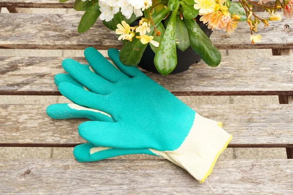 Zelené rukavice — Stock fotografie