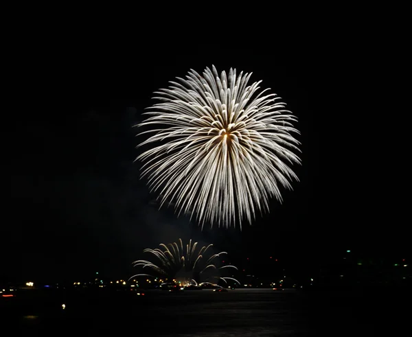 Firework background — Stock Photo, Image