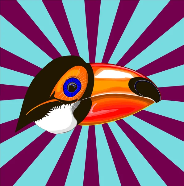 Tropikal renkli toucan