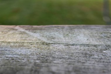 Yıpranmış ahşap yüzey, doğal pürüzlü doku ve yeşil bulanık arka plan. Kırsal eski ahşap dokusu arkaplan ve eko tasarımı için ideal.