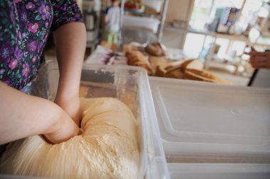 Ev mutfağında plastik bir konteynırda elle yapılan hamur hazırlığı. Yemek pişirme, ev yapımı ekmek, pasta ve geleneksel fırın süreci kavramı.