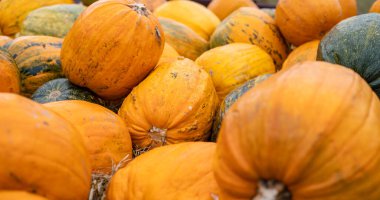 Halloween pumpkins background with bright orange gourds symbolizing autumn harvest, holiday decoration, and seasonal celebration. Perfect for Halloween design and festive projects.
