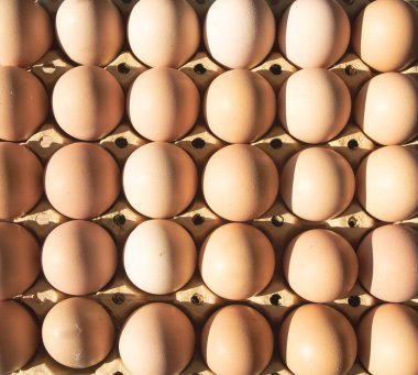 Karton tepside yumurta sıralanmış, doğal tarım ürünü pişirme ve sağlıklı gıda konsepti.