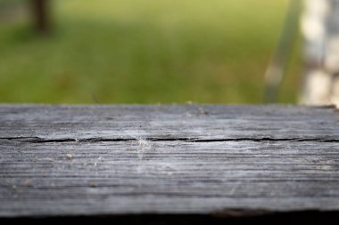 Old wooden board with natural texture and green blurred background, rustic surface for eco design and product presentation