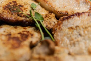 Fried meat with fresh herbs, homemade food concept and healthy meal idea