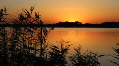 Sazlık siluetleri ve sakin sularda altın yansımalarla nehrin üzerinde güzel bir günbatımı.