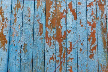 Çatlamış yüzeyi olan eski ahşap tahtalar ve mavi boya kırsal bir doku yaratıyor..