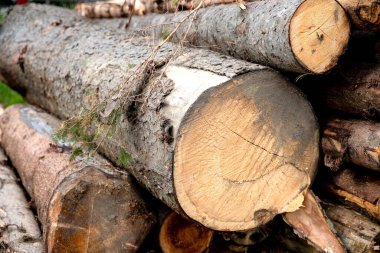 Yığılmış ahşap kütükler kırsal doğal arka plan yaratıyor.