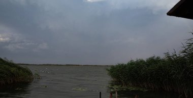 Bulutlu gökyüzünün altında yağmurdan önce kamışlı göl